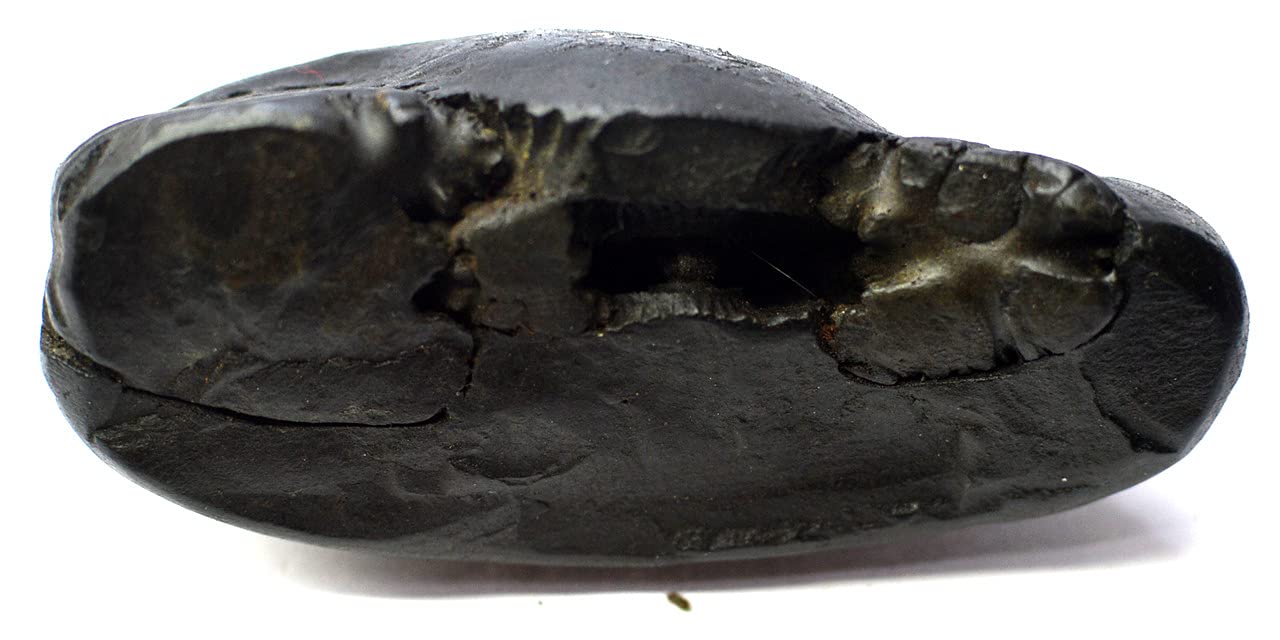 Shambhava Ram Avtar Shaligram Natural Shri Chakra from Kaali Gandaki River Nepal with Kashi's Gangajal