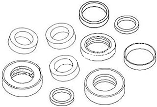 Stevens Lake Parts One New Cylinder Seal Kit Fits Case 921, 921C Models Interchangeable with 1346357C2, 1346357C2-A