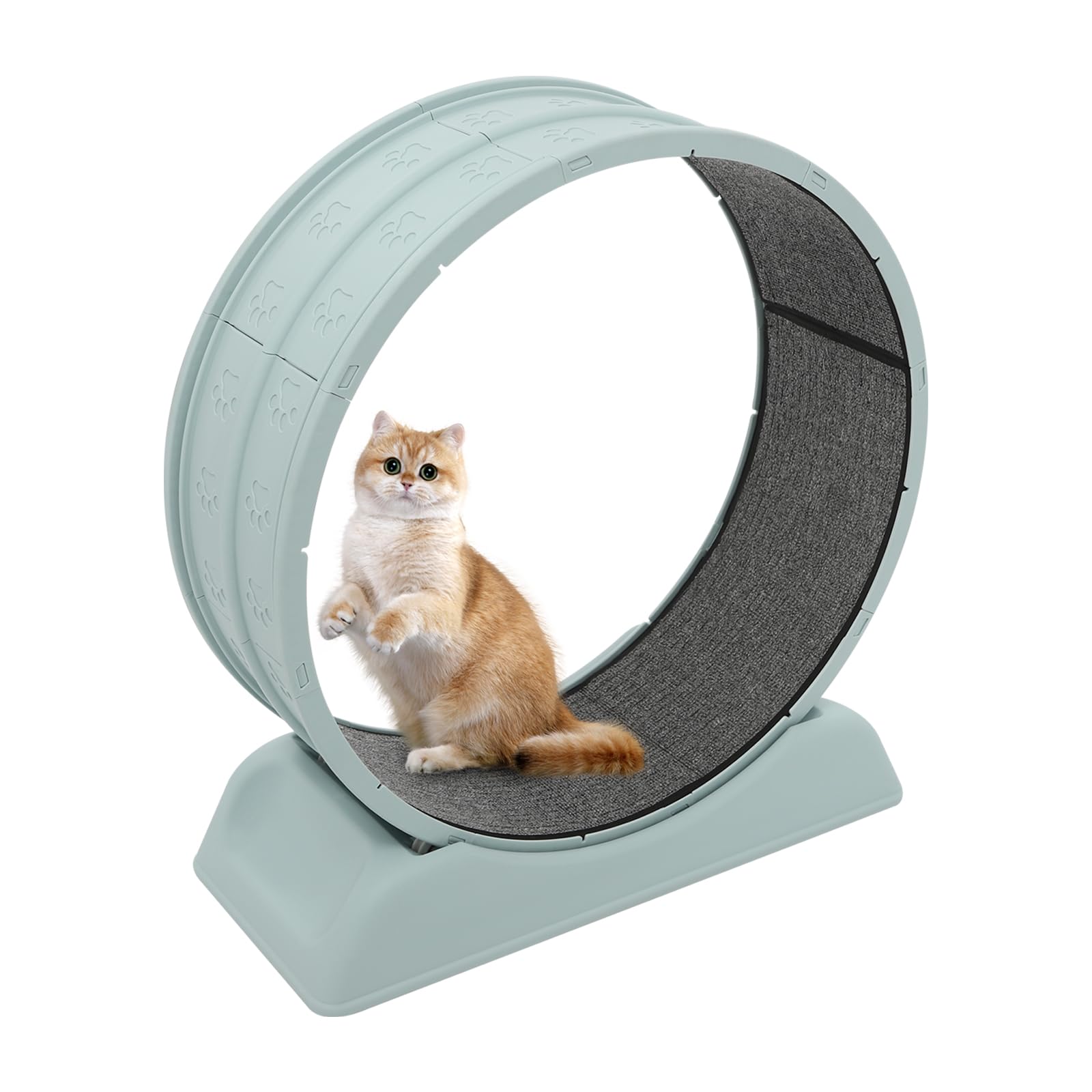 Rueda para gatos, rueda de correr para gatos, rueda silenciosa para gatos con hebilla de seguridad, cinta de correr interior con alfombra para correr y rascar, rueda para gatos, 80 cm de diámetro