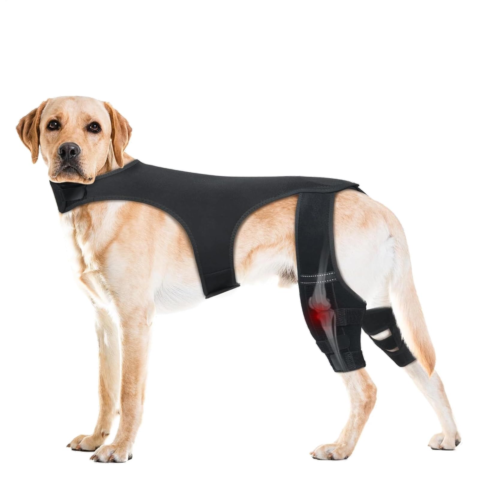 Dog Hip Brace | Adjustable Wrap Joint Sleeve - Dog Rear Leg Brace with 4 Metal Stabilizers - for Hiking Exercise Outdoor Activities Park Beach Travel Home