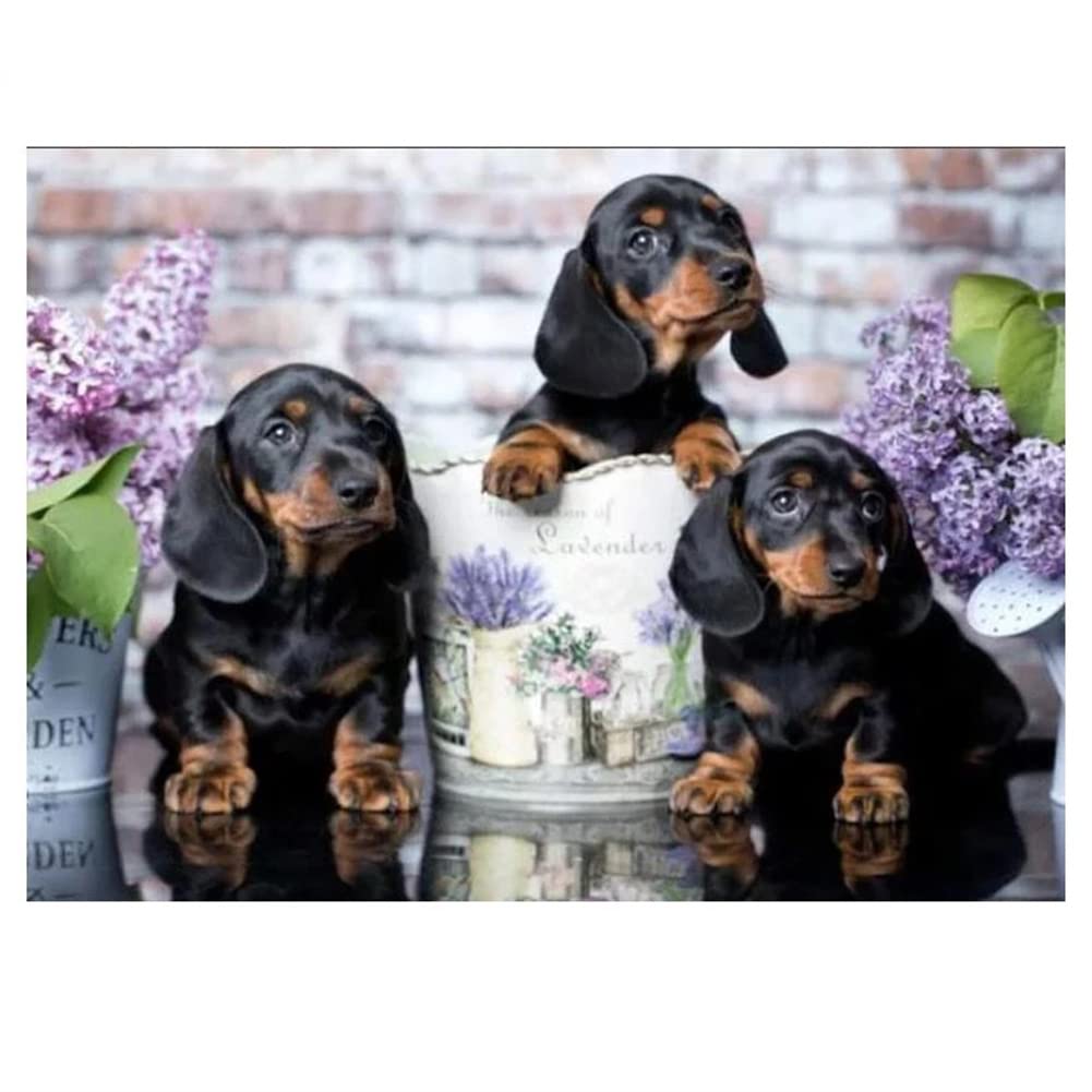 Kit Diamond Painting Bassotto - Ricamo Con Diamanti 5D, 30x40 Cm - Foto 8