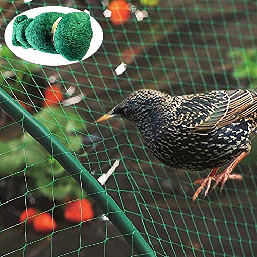 SHDT Green Anti Bird Netting,Plant Climbing Net,Deer Fence,Pond Net - for Vegetables,Plants And Fruit Trees,8 * 10M