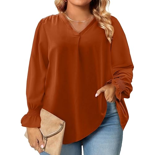 Eytino Plus Size Tops for Women Sexy V Neck Smocked Long Sleeve Blouse Loose Casual Work Shirts(1X-5X)