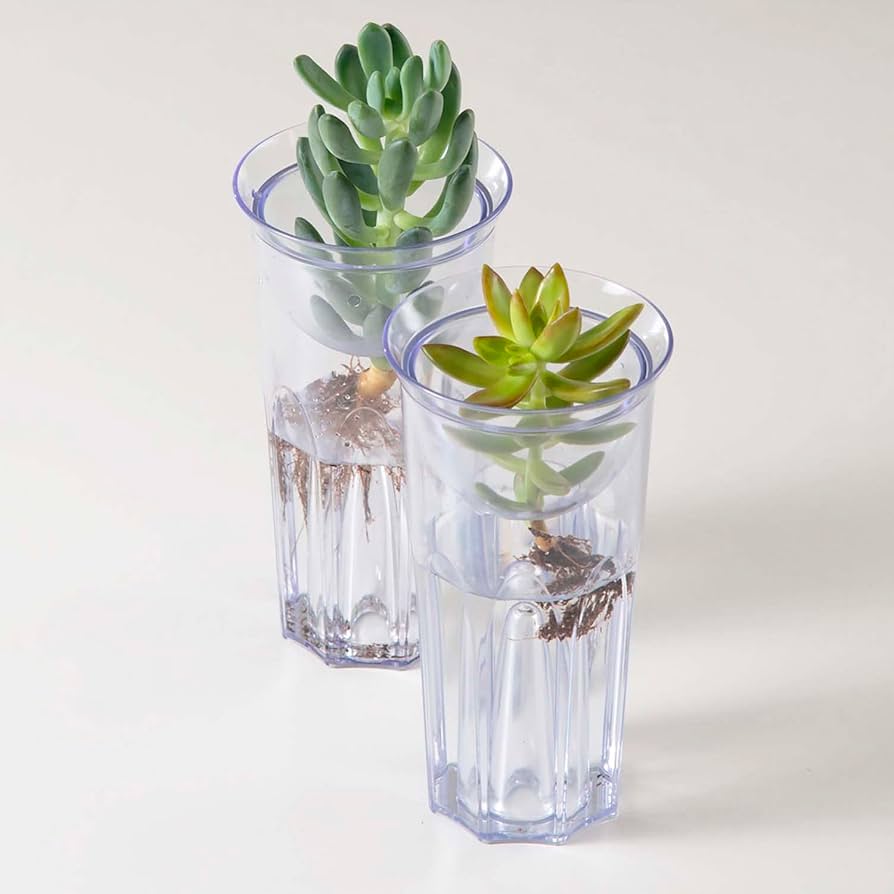 専用＊Jumbo bottleドライフラワーボトル　 クロホオズキ 61b9ujSyBcL._AC_UF894,