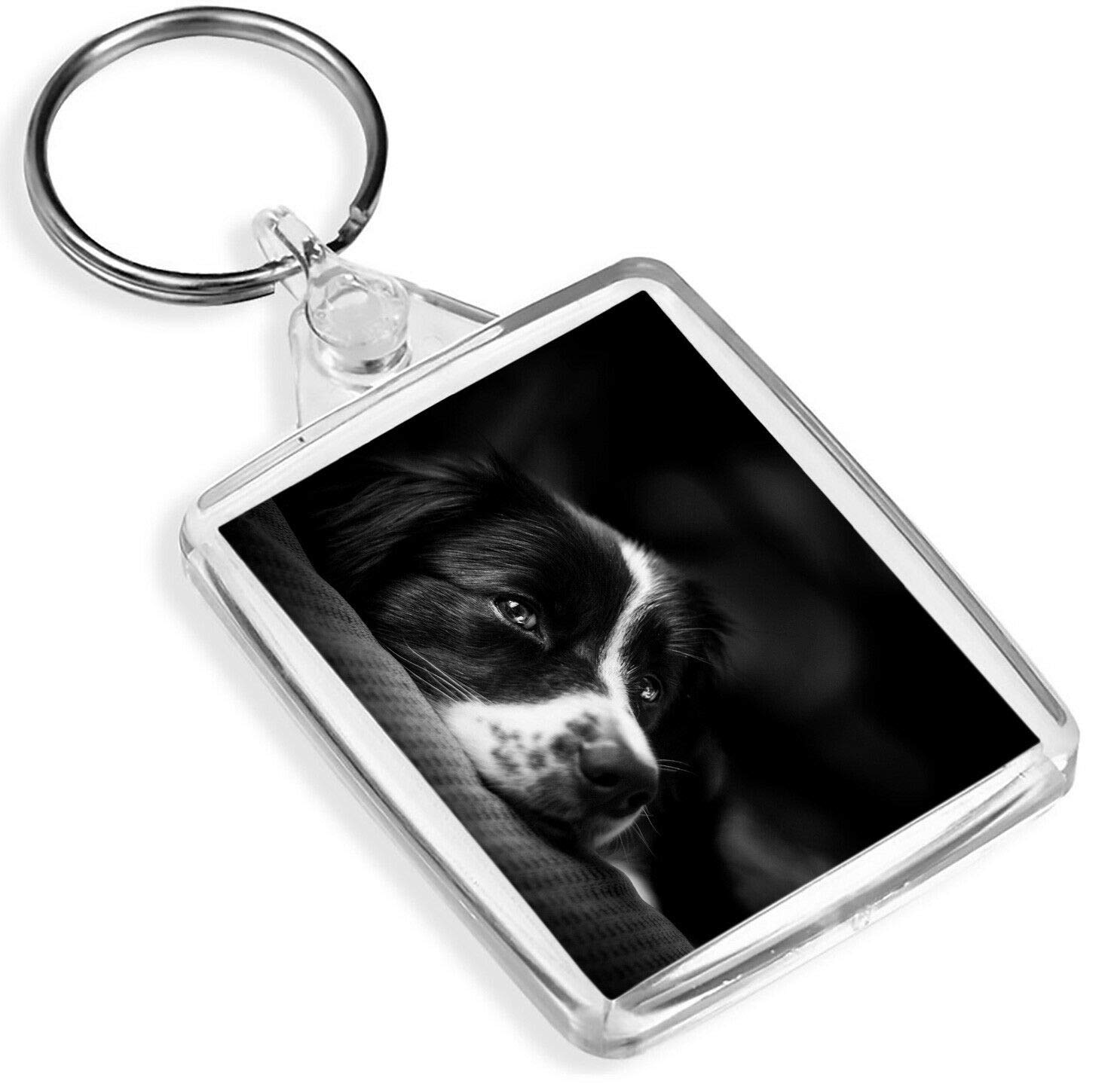 Destination Vinyl Keyrings Unisex Multi Beautiful Border Collie - Ip02 - Sheep Dog Puppy Farm Farmer #8639