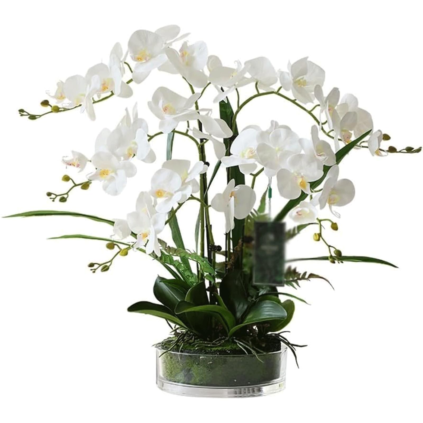XDLEDMKIZ Real Artificial Flowers Elegant Fake Flowers Transparent Glass Vase Fake Flower for Wedding Centerpieces Bouquets