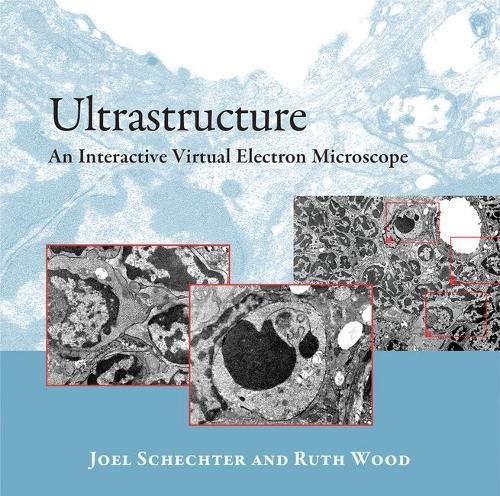 Ultrastructure: An Interactive Virtual Electron Microscope Ultrastructure: An Interactive Virtual Electron Microscope
