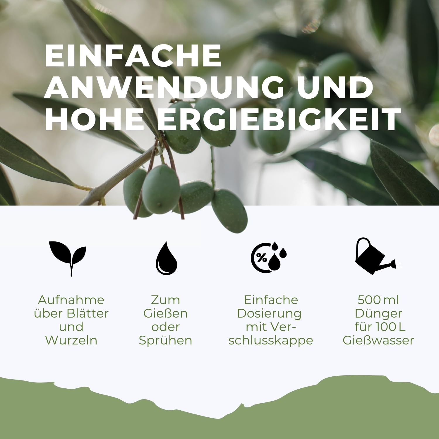 Flora Boost Olivenbaum Dünger Flora Boost 500ml I Für bis zu 100L Gießwasser I Langzeitdünger für verbesserte Blütenbildung I Flüssiger Blatt- & Wurzeldünger I 100% natürlicher Pflanzendünger