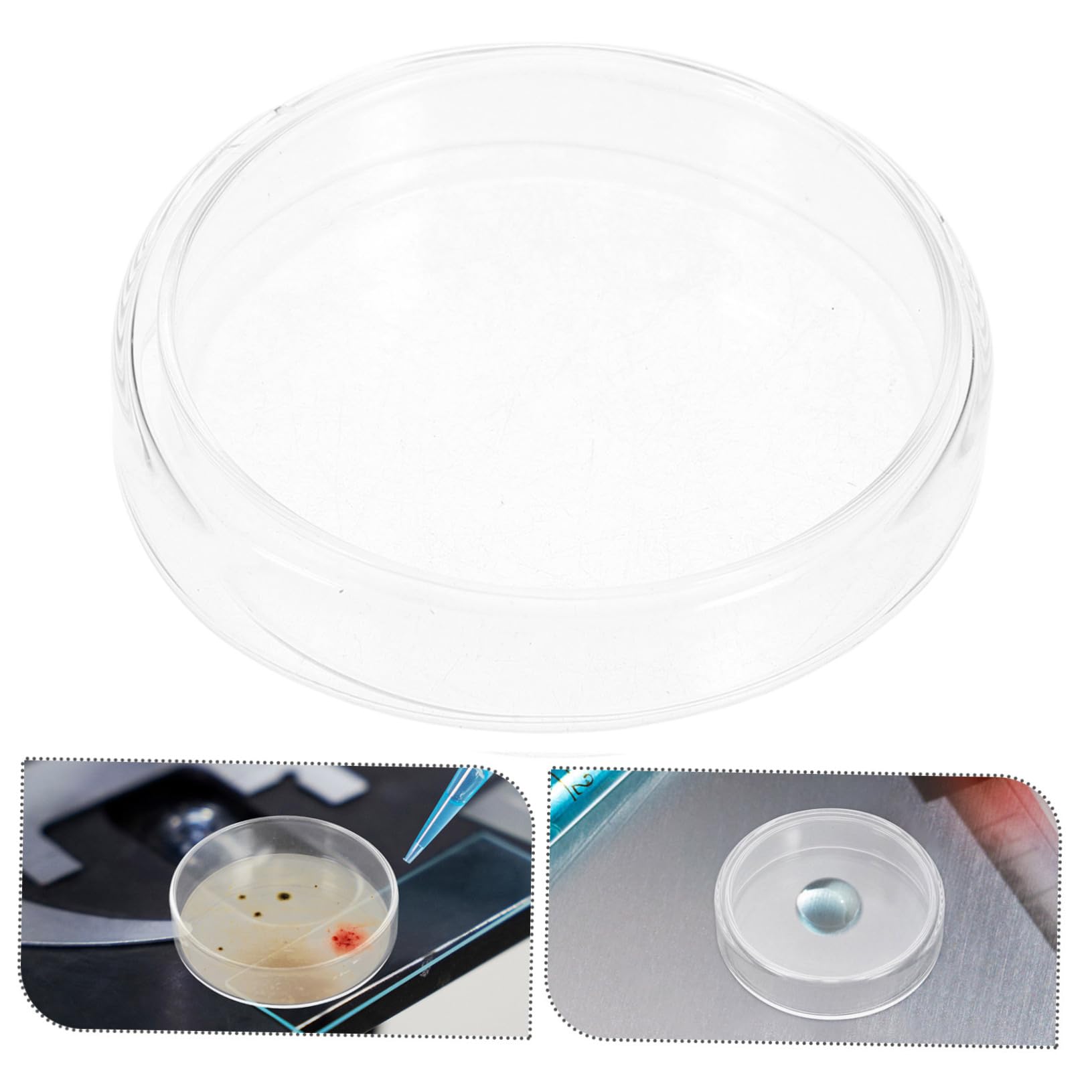 10piezas Placas De Petri De Vidrio Experimental Kit Para Proyectos Científicos Recipientes Para Microbiológico Accesorios De Laboratorio