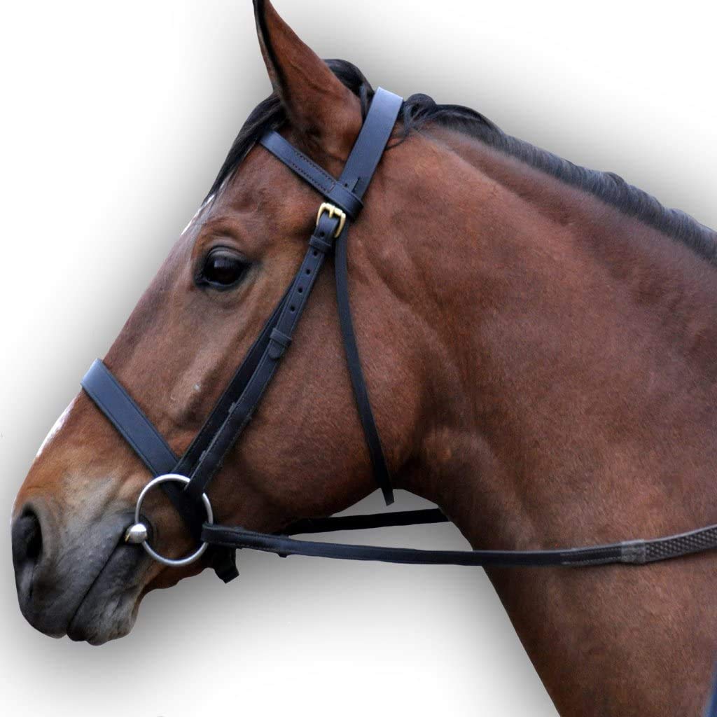 Plain Hunter Leather Bridle for Horses | Available in Black & Brown Color | Full Size