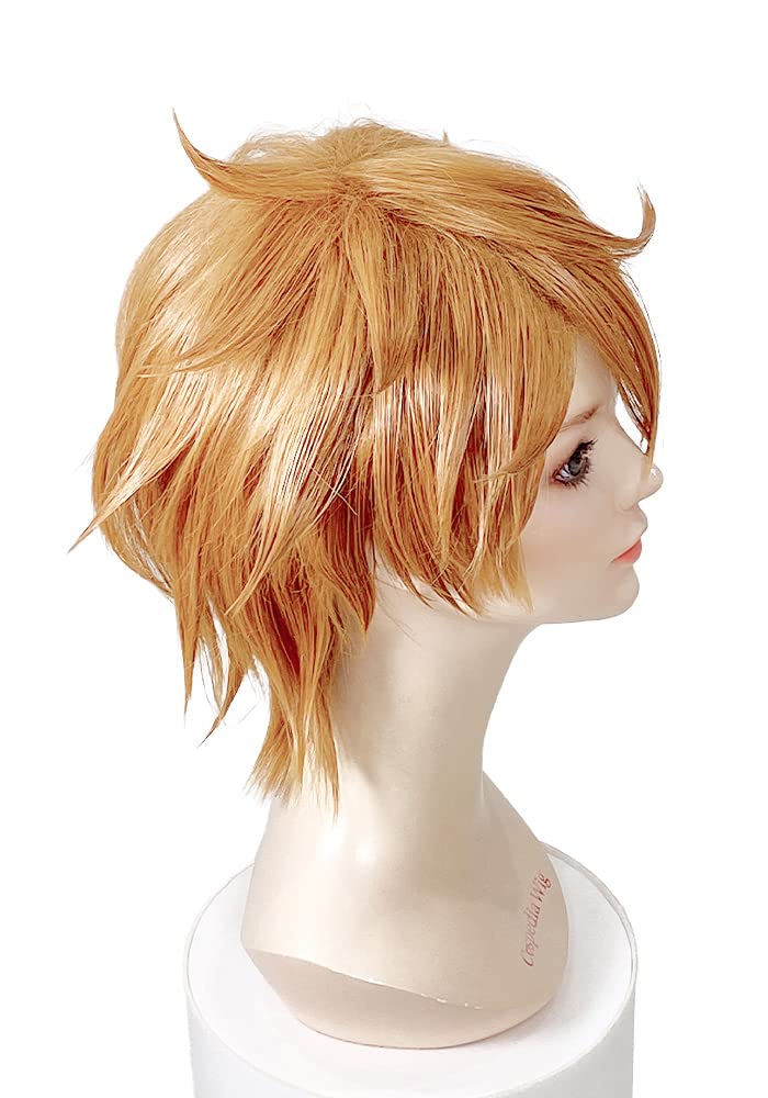 Amazon.co.jp: 原神 タルタリヤ 風 ウィッグ キャラウィッグ 美容師
