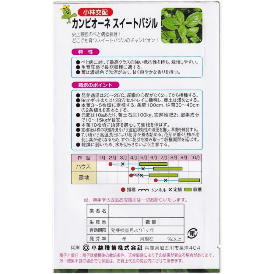 2000円オフクーポン付きx5 バジルの種 2000円オフクーポン付きx5 バジルの種