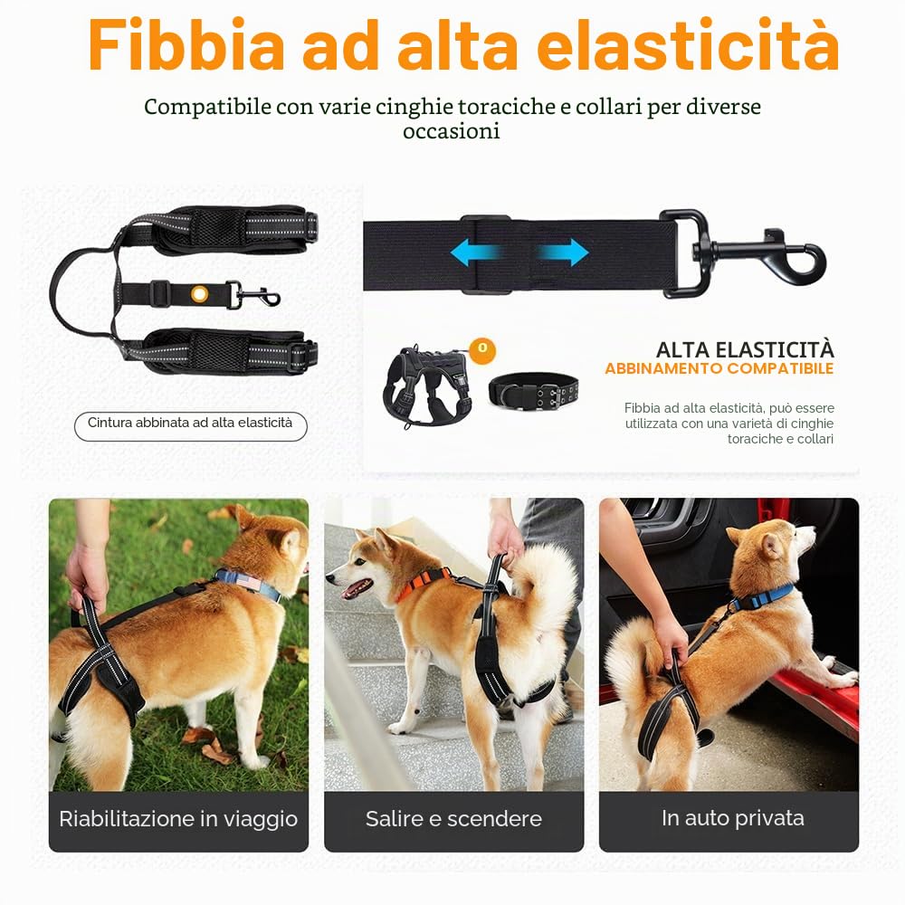 Imbracatura per Cani, Pettorina di Sollevamento per Cane Riflettente con Maniglia e Cinghie Regolabili, Supporto per Cani Anziani, Malati, Feriti, Disabili