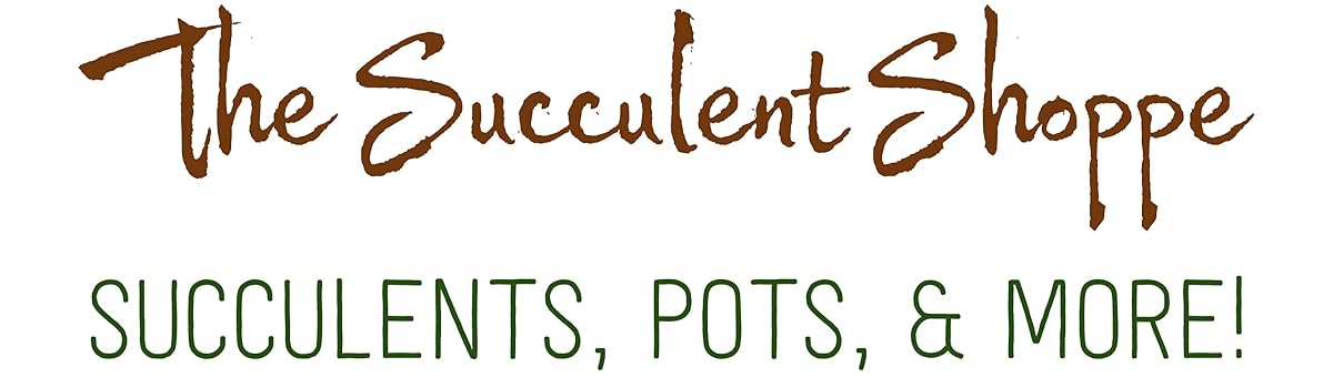 Amazon.com: The Succulent Shoppe