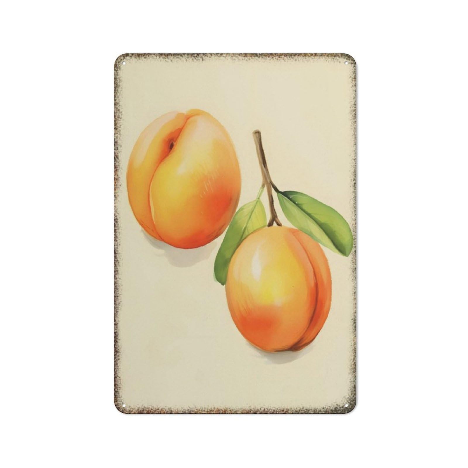 Apricots Fruit Colorful Home Holiday Wall Decor Sign 8x12 inch