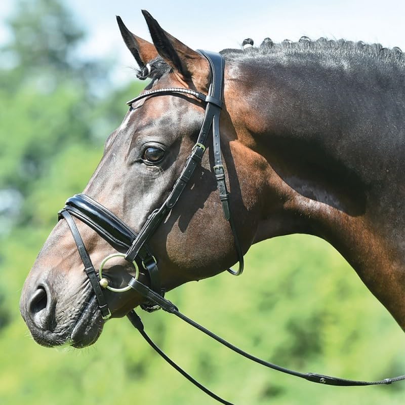 English Headstall Bridle Reins Cowhide Genuine Leather Horse Crossover Crossunder Raised Fancy Stitched Laced All Purpose Jumping Dressage Rubber Crystal Padded Adjustable Browband Full-Cob,M40