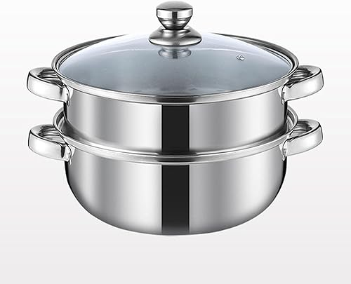 Olla de vapor para cocinar olla de vapor de 3.0 cuartos de galón con tapa, utensilios de cocina multiusos de acero inoxidable de 2 niveles con asa