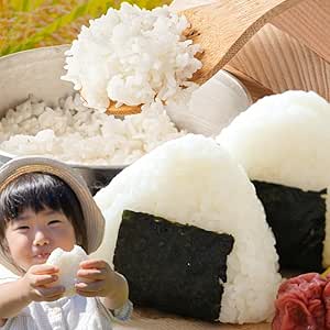 【6回隔月定期便】無洗米 熊本県産 ブレンド米 肥後のめぐみ米 5kg 熊本県産 ふるさと納税 米 こめ ふるさとのうぜい コメ お米 おこめ《お申込み翌月から出荷》