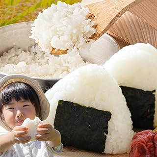 【6回隔月定期便】無洗米 熊本県産 ブレンド米 肥後のめぐみ米 5kg 熊本県産 ふるさと納税 米 こめ ふるさとのうぜい コメ お米 おこめ《お申込み翌月から出荷》