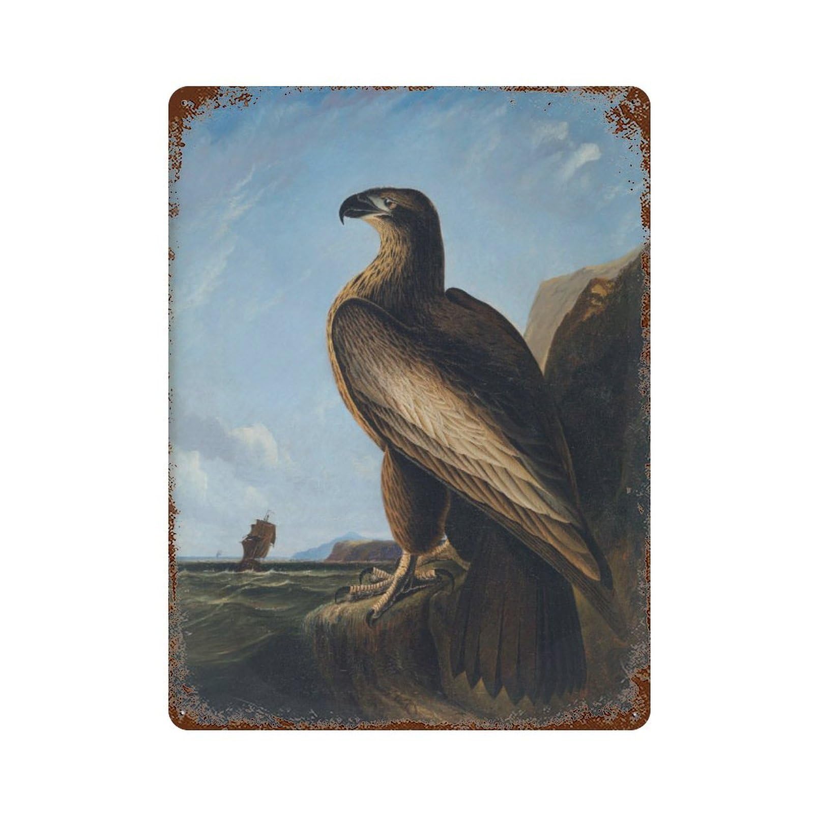 xiaoxiaoshen Audubon Washington Sea Eagle Vintage Bird Wall Decor Art Metal Tin Poster Modern Home Decor Art Home Bar Shop Decorations Vintage Sign 40x30cm