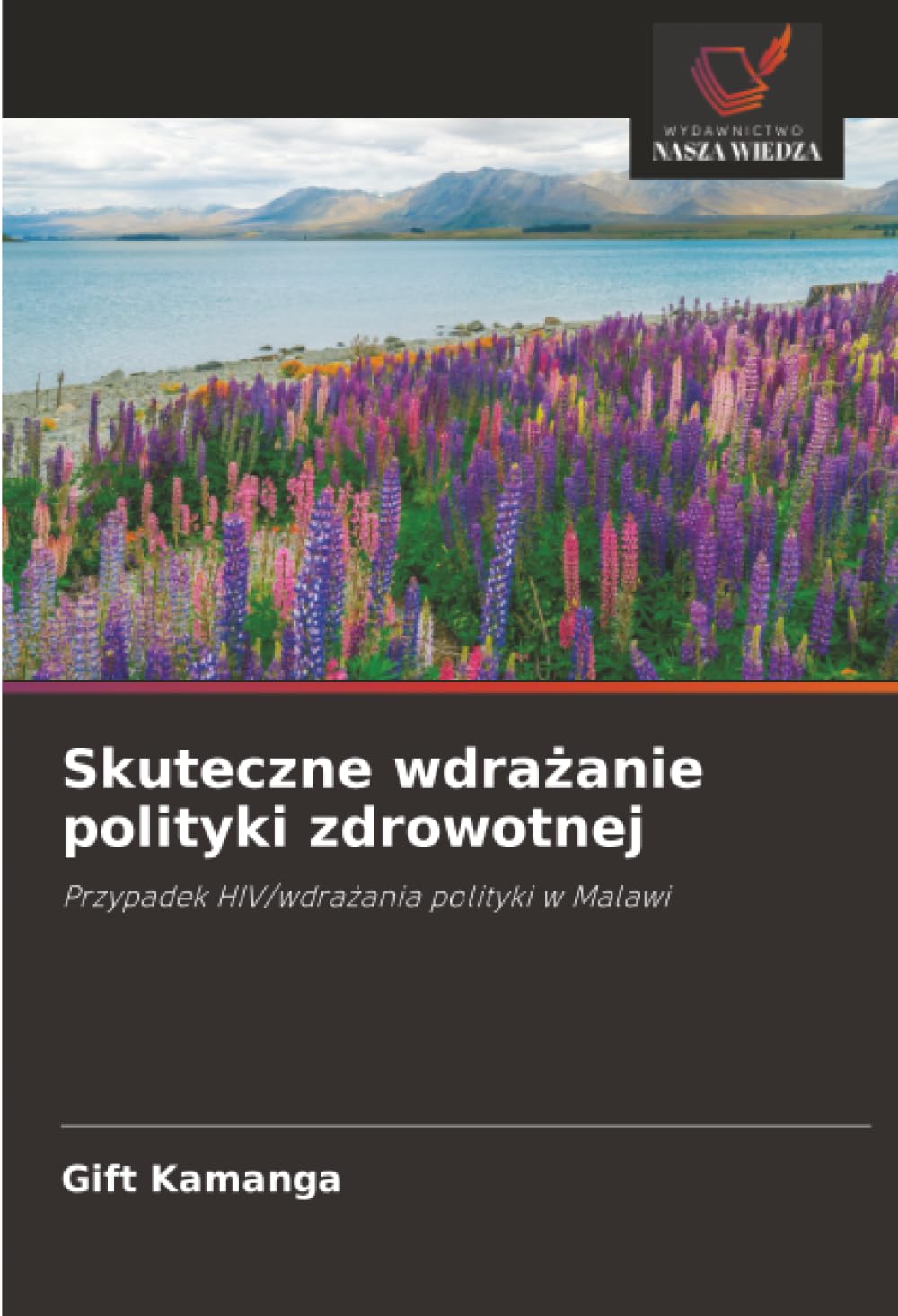 Skuteczne wdrażanie polityki zdrowotnej: Przypadek HIV/wdrażania polityki w Malawi