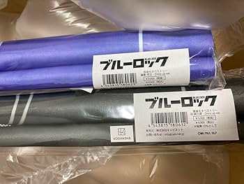 Amazon.co.jp: ブルーロック ドレスアップ アニメガ×ソフマップ