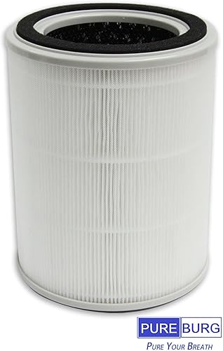 Miniatura 4 de PUREBURG Filtro de repuesto TPAP001 compatible con el purificador de aire TOPPIN Comfy Air C2, paquete de 2 unidades de carbón activado H13 True