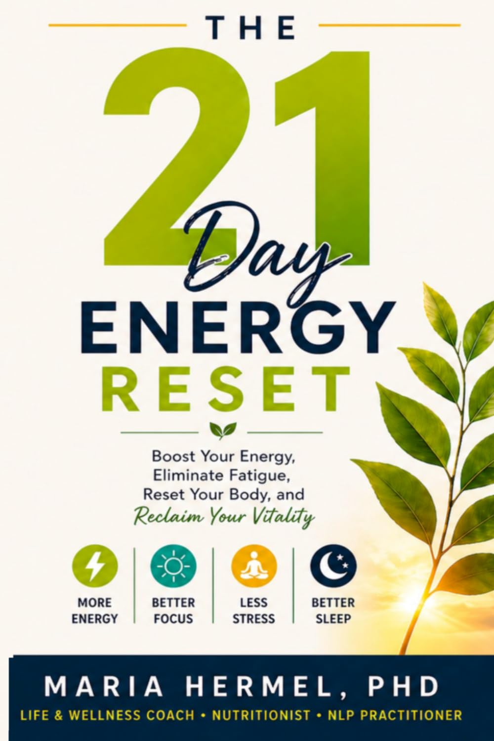 The 21 Day Energy Reset: Boost Your Energy, Eliminate Fatigue, Reset Your Body, and Reclaim Your Vitality (21 Day Reset)