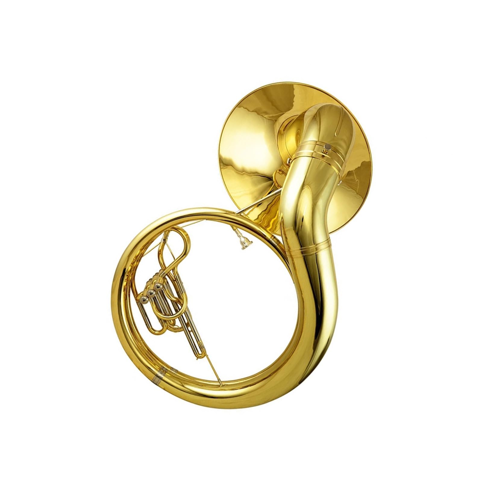 L'euphonium En Si Bémol Majeur Convient Aux Débutants Et À La Pratique Professionnelle Euphonium Professionnel(3/4)