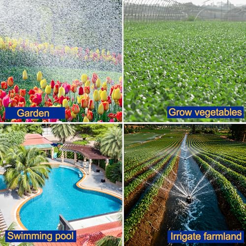 TDRRICH 1HP Water Pressure Booster Pump with Automatic Controller for Whole House,110v Shallow Well Portable Water Stainless Steel Pump,Jet Transfer Pump Switch for Lawn Garden Sprinkler Irrigation - Thumbnail 6