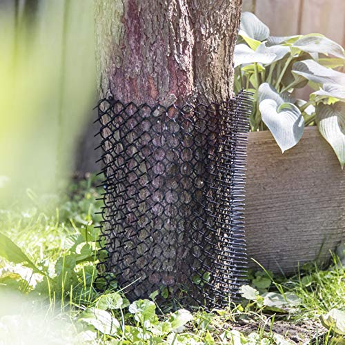 Homarden Scat Mat for Cats (Set of 10) 16 X 13 Inch Square Cat and Dog Digging Deterrent Mats with 1 Inch Plastic Spikes - Outdoor Garden Pest Control - Thumbnail 4
