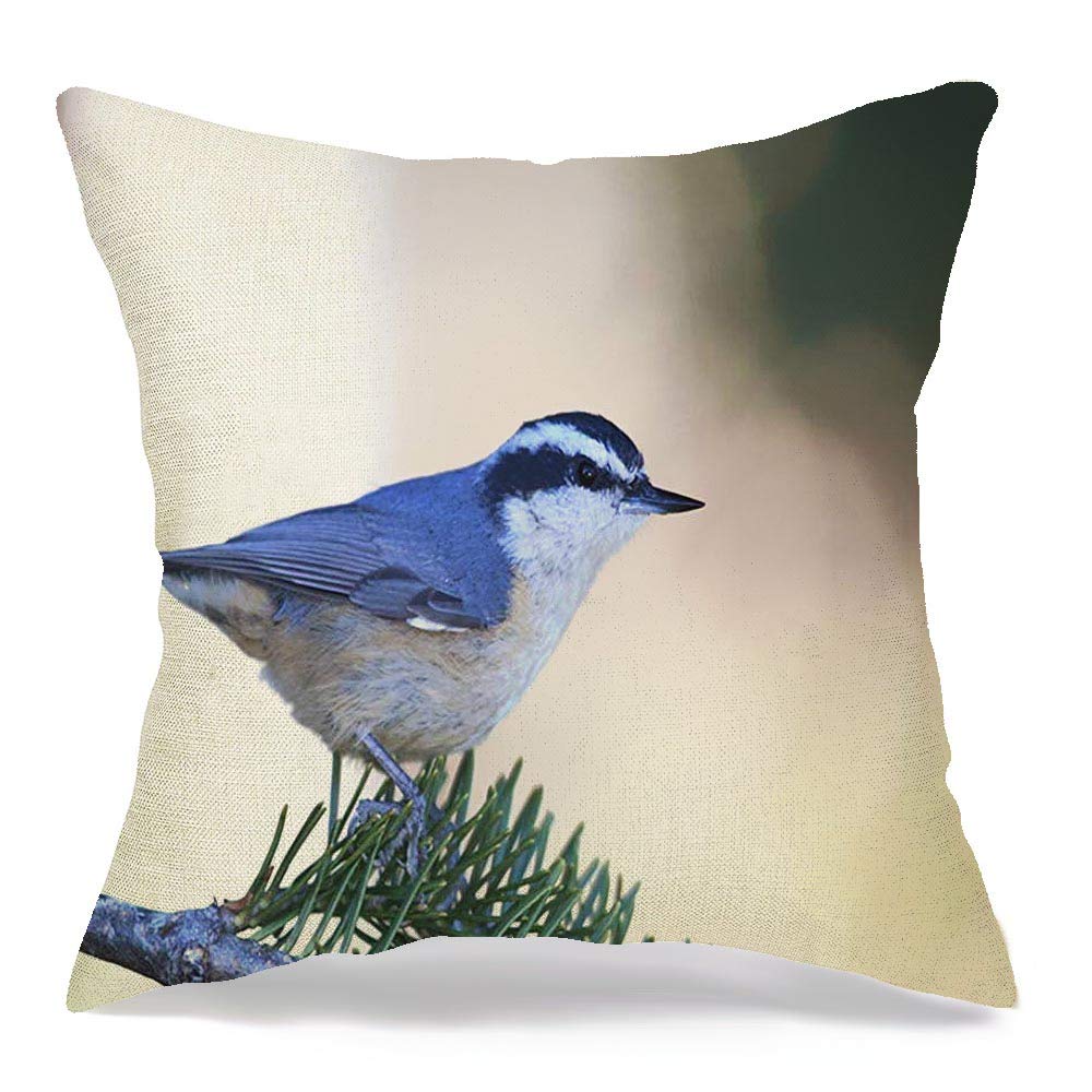 Decorative Linen Square Throw Pillow Cover Cushion Case Red Breasted with Ontario Nuthatch On Wild Pine Branch Animals Bird Wildlife Fall Nature Autumn Vintage Farmhouse Pillowcase 18 x 18 Inches