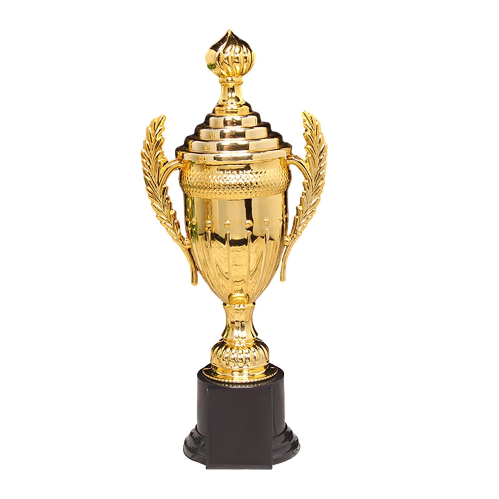 Trofeo Copa Fiesta Participación Competición Ganador