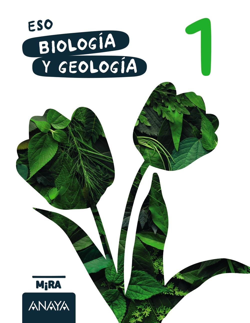 biología y geología 1º eso (...