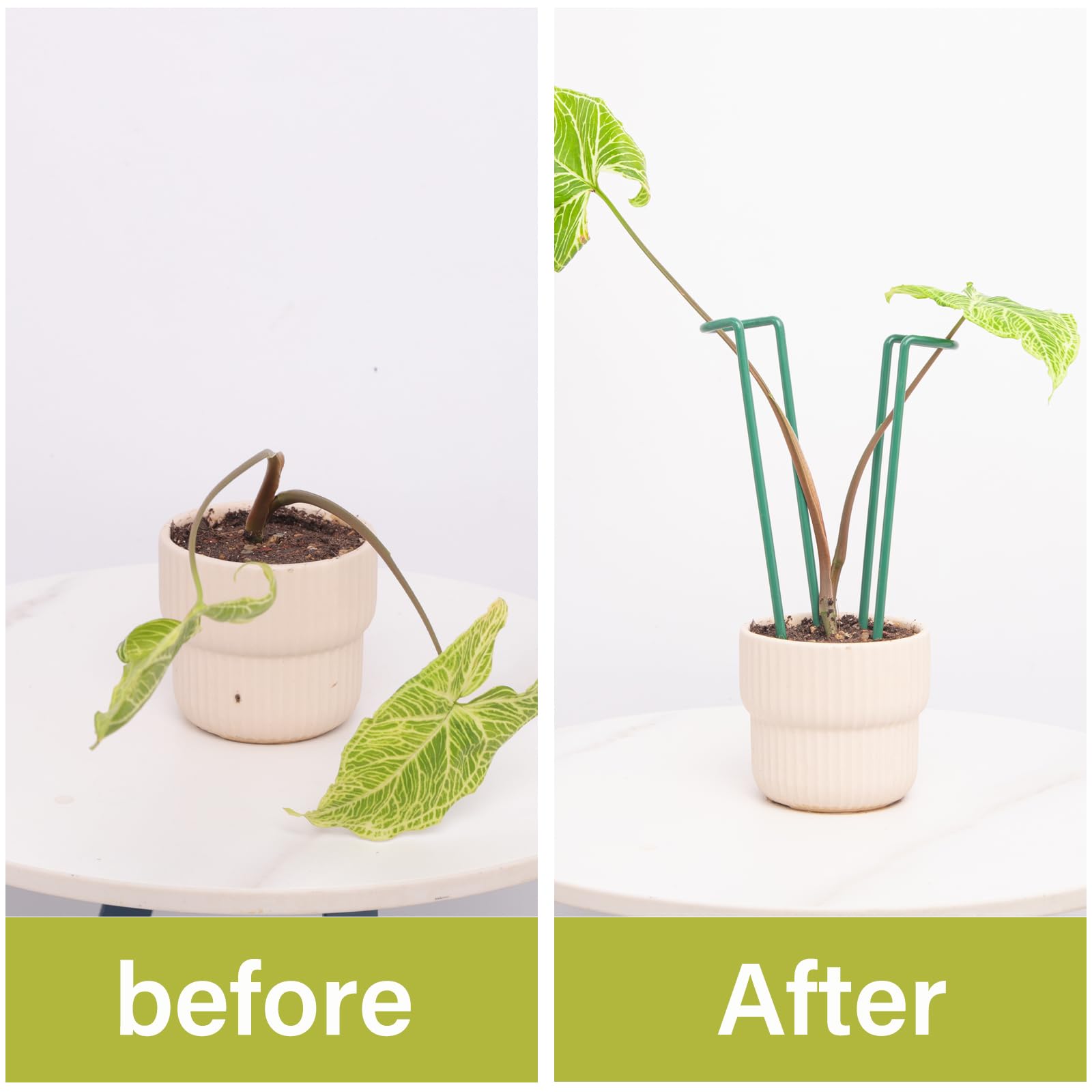 Lot de 10 piquets pour plantes d'intérieur – Support en fer durable en forme de U pour plantes Monstera et en pot, parfait pour les plantes grimpantes de petite et moyenne taille, idéal pour