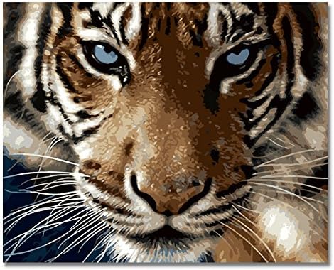 LIUDAO Paint by Number for Adults,Oil Painting on Canvas 16x20 Inches Without Frame (Tiger)