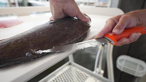 Miniatura 9 de Dexter Dextreme 24911 Cuchillo