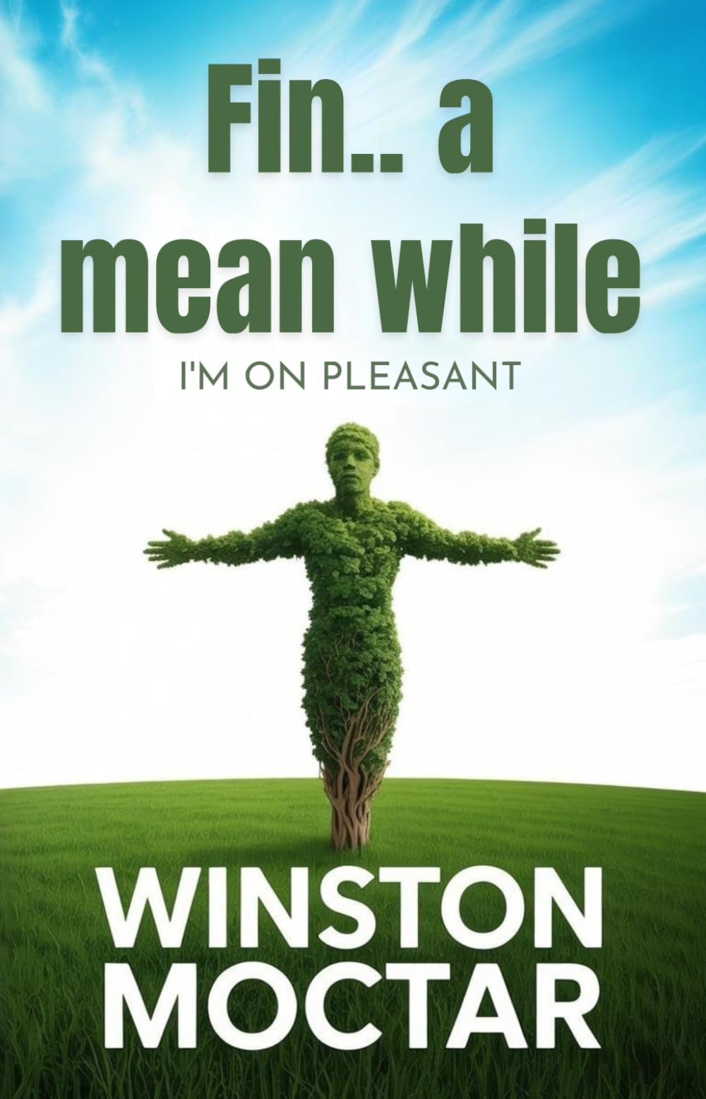 Fin...a mean while: I'm On Pleasant