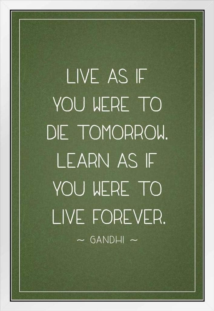 Amazon Com Mahatma Gandhi Live As If You Were Die Tomorrow Learn Live Forever Motivational Green Cool Wall Decor Art Print Poster 24x36 Posters Prints