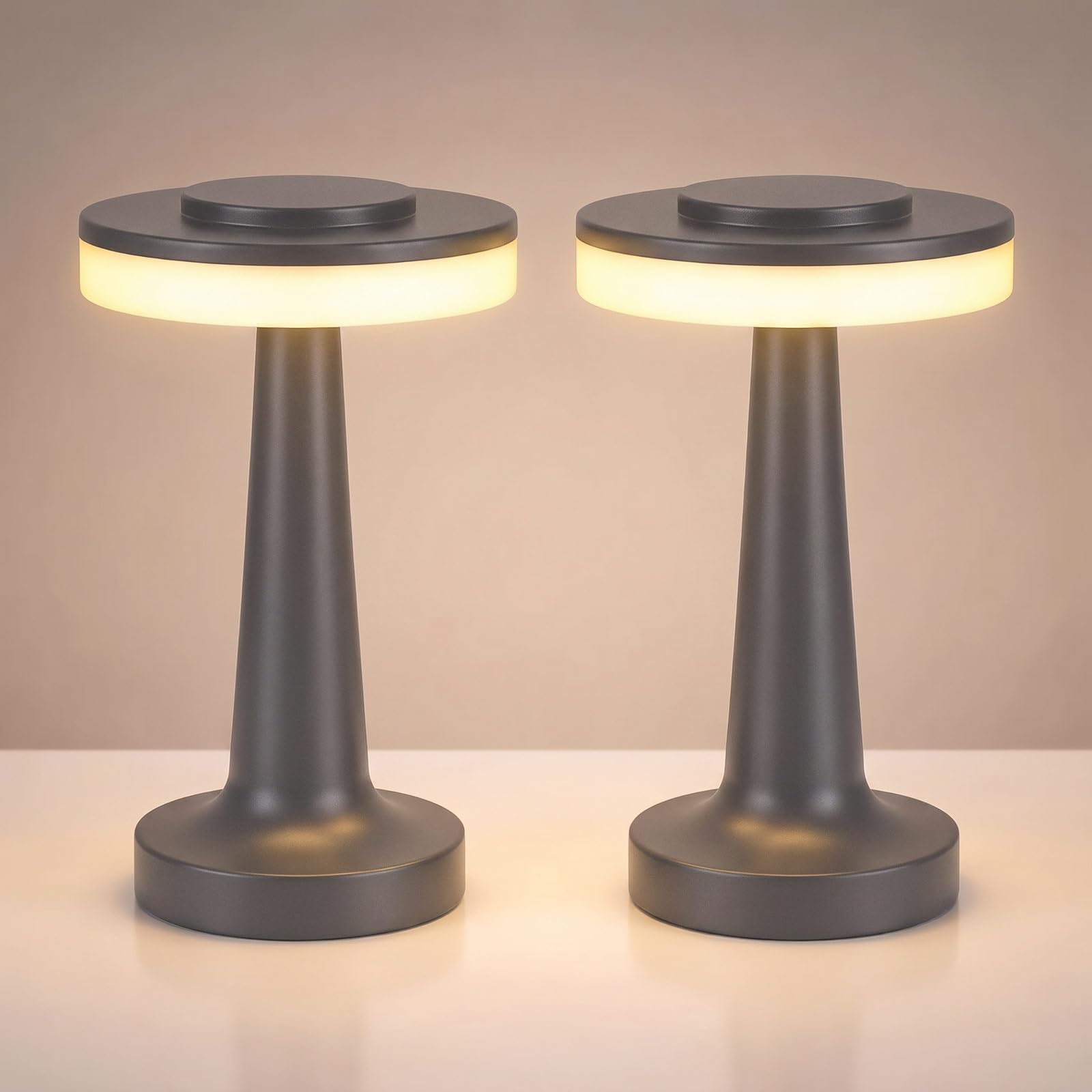 Riakrum 2 Pcs LED Cordless Table Lamp Bulk Rechargeable,Gray