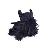 Oscar Newman Scottish Terrier Pipsqueak Toy, 5-inch Length, Black
