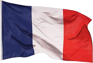 Aricona Drapeau France 90x150cm – français - résistant aux intempéries, avec œillets en laiton, 100% polyester, coutures doubles robustes et couleurs éclatantes – pour extérieur