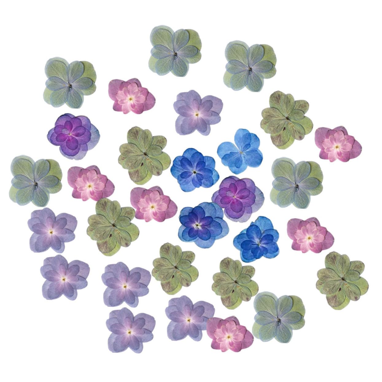 MAGICLULU 2 Ensembles Fleurs Séchées pour La Résine Mariage Décor Bouquet De Fleurs Séchées Pressé Sec Petites Fleurs pour La Résine 30 Pièces * 2