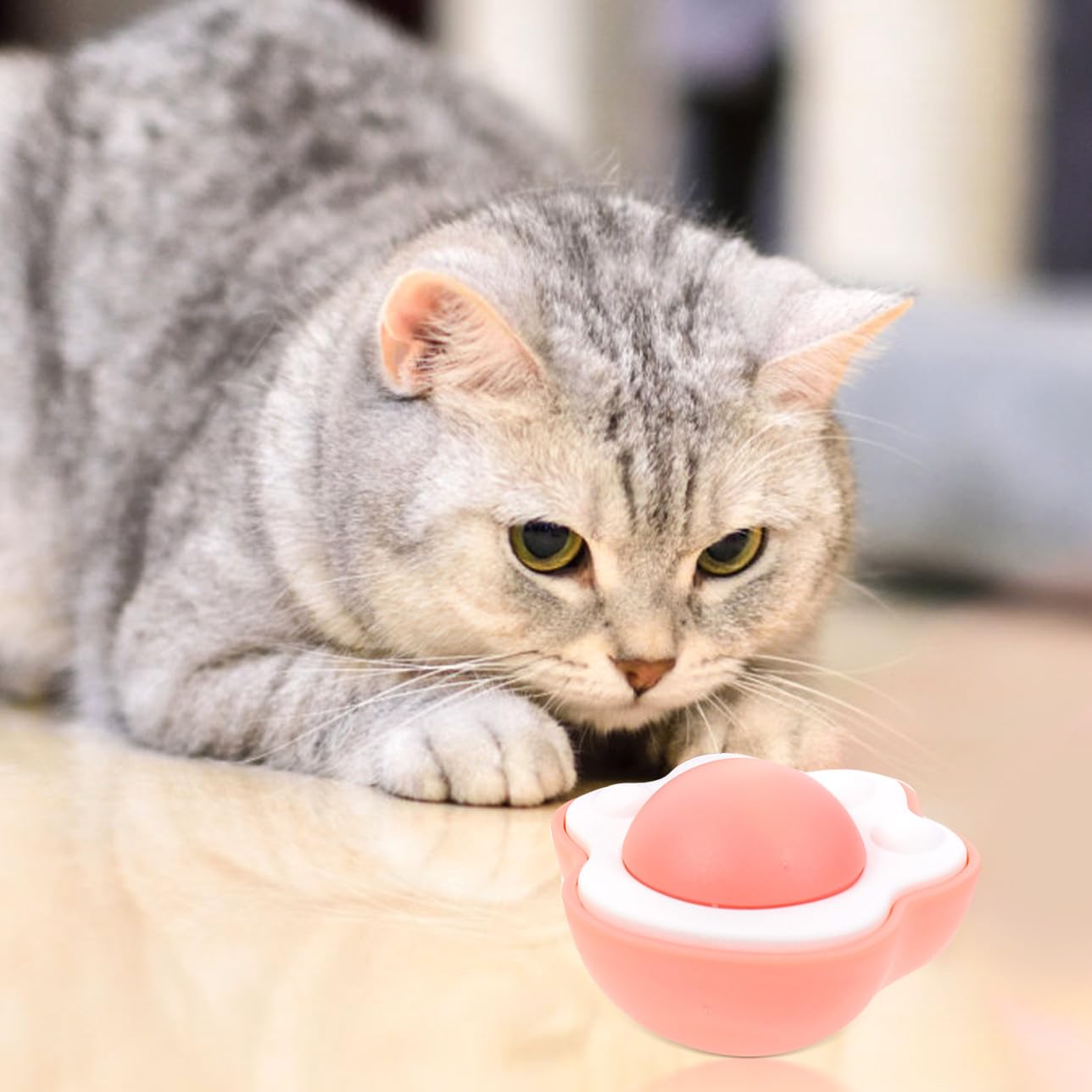 Toddmomy 12pièces Jouet Interactif pour Chat avec Boule De Cataire Comestible Stimule Le Jeu Et Hygiène Jouet Indoor pour Chatons
