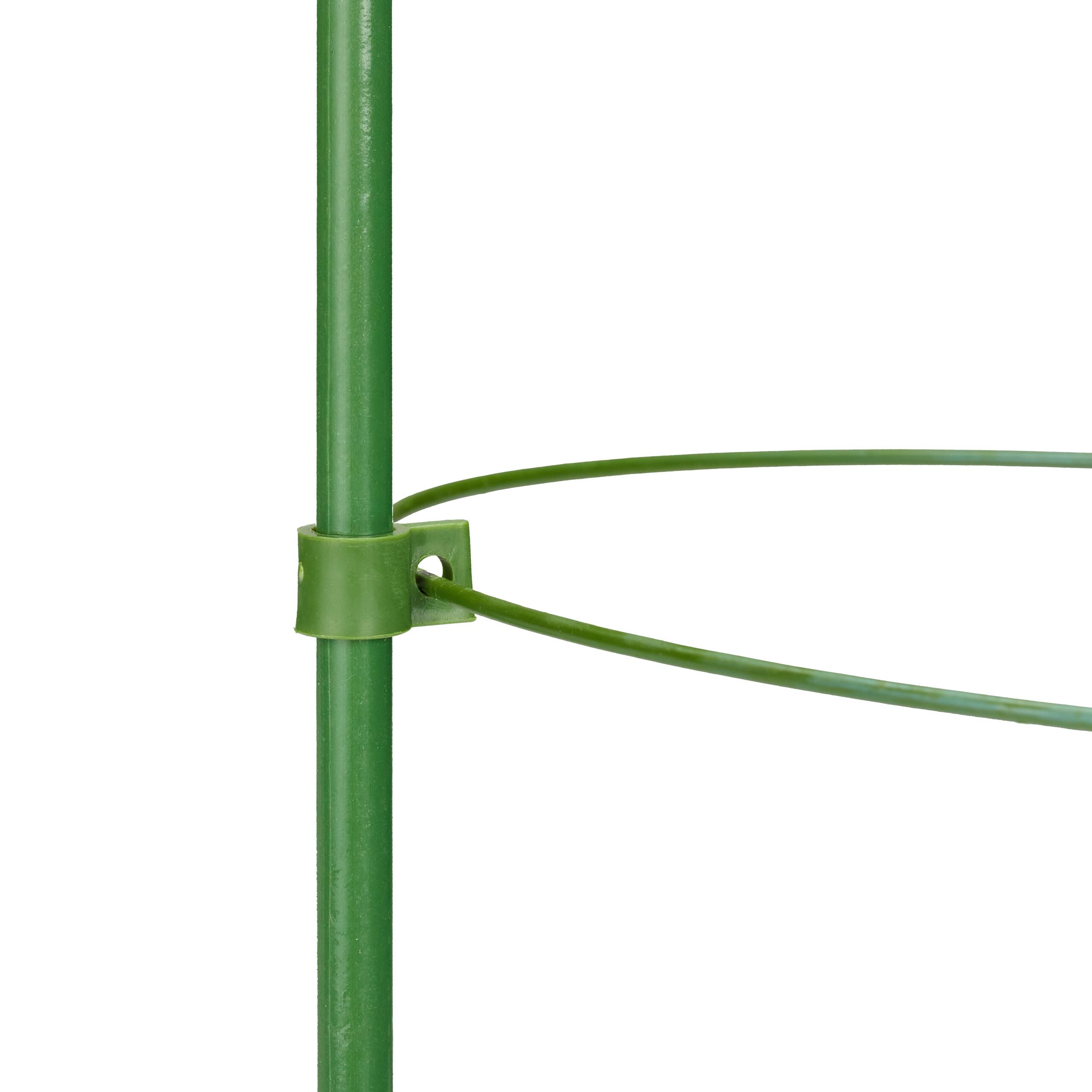 Relaxdays Tuteur à tomates, Lot de 5, 3 Anneaux, HxD : 60 x 20 cm, pour Plantes Utilitaires, métal & Plastique, Vert