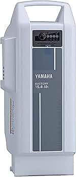 61bAsGMvs0L._AC_UF350,