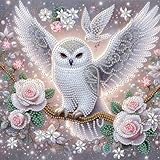 GEMFAMILY Owl Diamond Art Kits for Adults,5D Special Shape Flower Diamond Painting Kits for Beginner,DIY Crystal Rhinestones Diamond Dots Painting for Home Wall Decoration 11.8 X 11.8 Inch