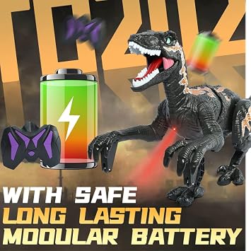 Remote Control Dinosaur Toys for Kid - Walking Dinosaur Toys for Boys 5-7,RC Jurassic Velociraptor Toys 8-12,Robot 3-5 with Light Sounds Birthday Gift Toy for Boys Age 3+ Rechargeable Black
