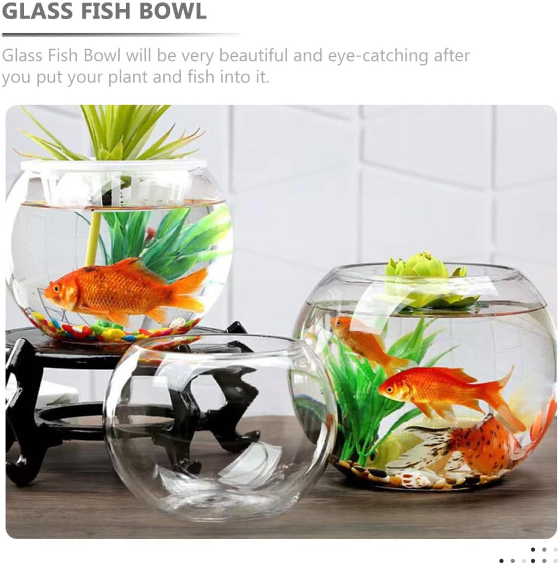 STOBOK Glass Fish Bowl for Small Fish Aquarium for Shrimp Turtle and Crab Desktop Office Decor Easy to Clean and Maintain