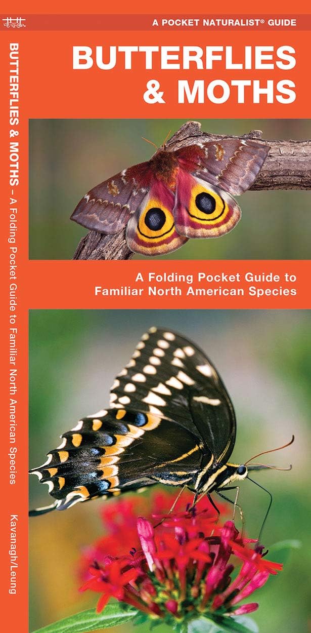 Butterflies & Moths: A Folding Pocket Guide to Familiar North American Species (A Pocket Naturalist Guide) Pamphlet – January 23, 2018